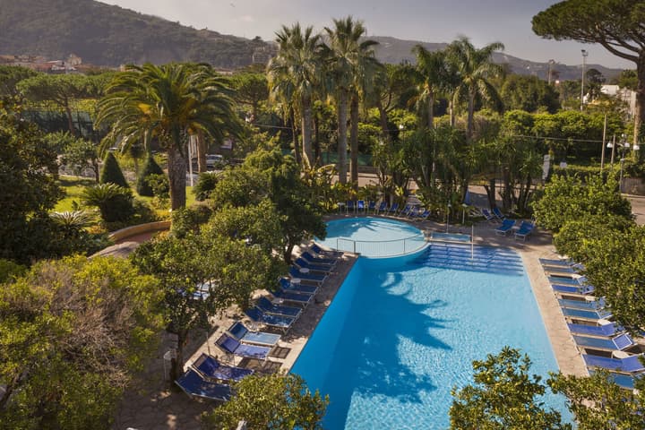 Hotel Alpha