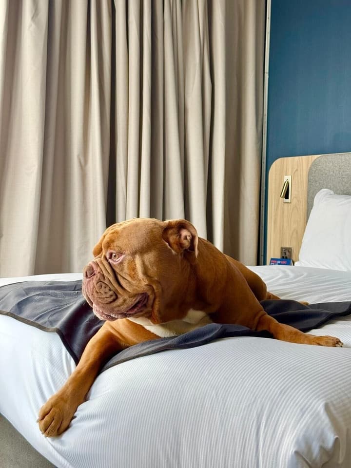 Holiday Inn Express London - Croydon by IHG