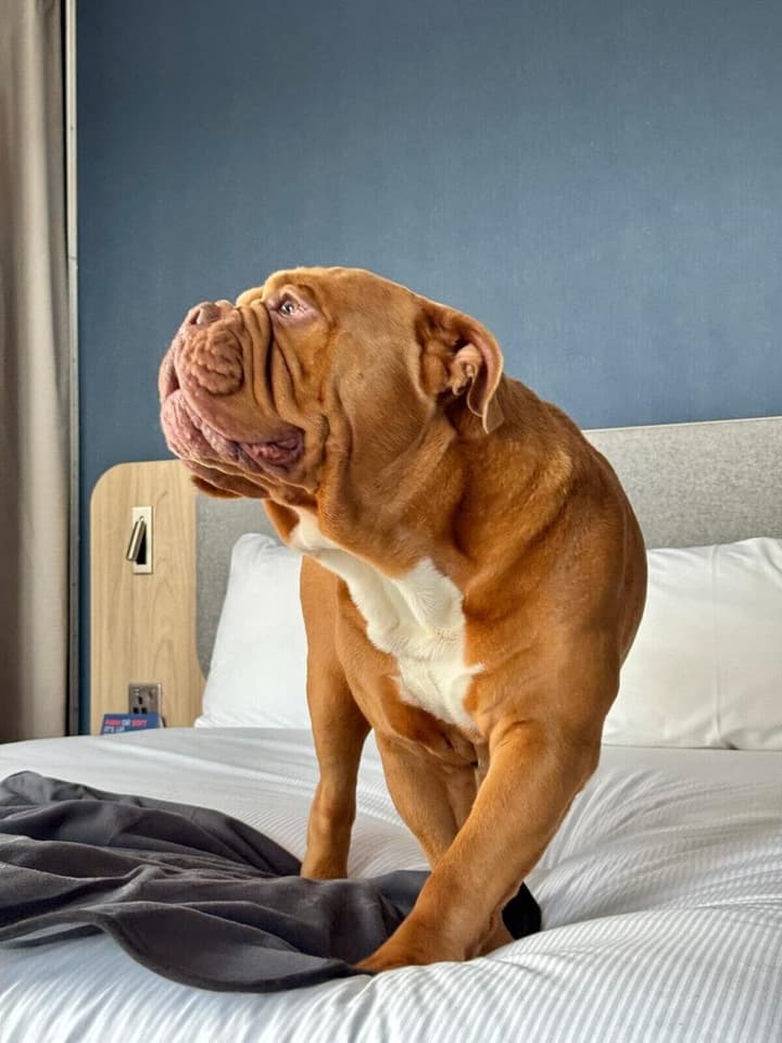 Holiday Inn Express London - Croydon by IHG