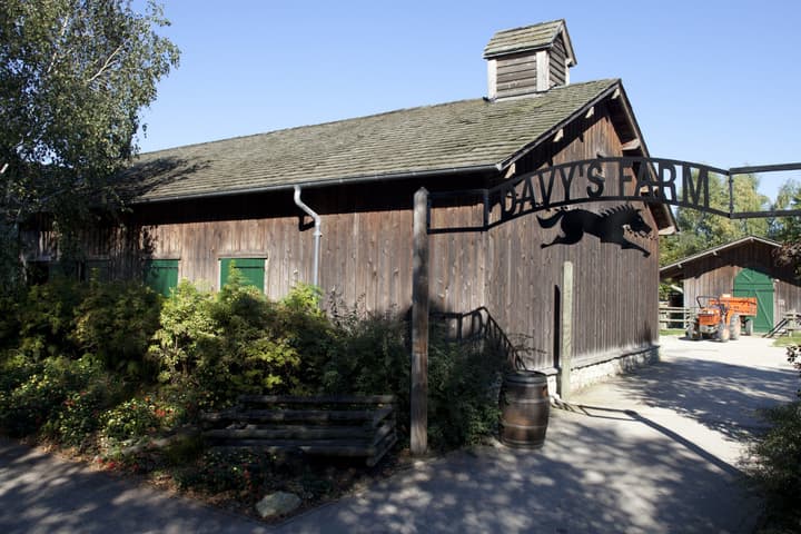 Disney Davy Crockett Ranch