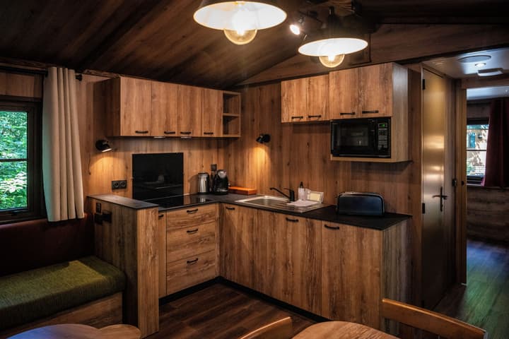 Disney Davy Crockett Ranch