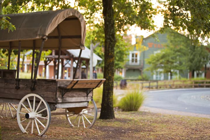 Disney Hotel Cheyenne