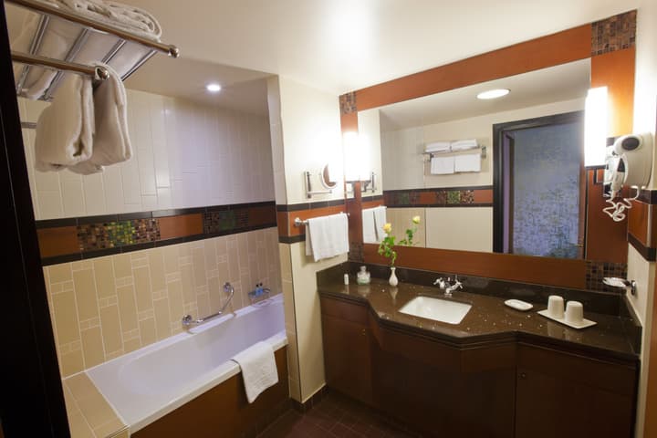 Disney Sequoia Lodge