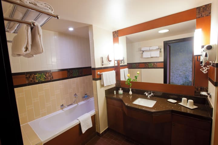 Disney Sequoia Lodge