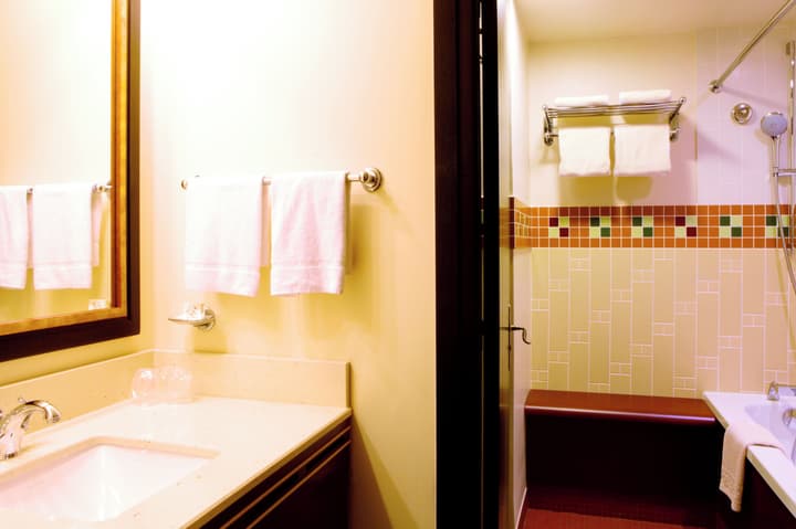 Disney Sequoia Lodge