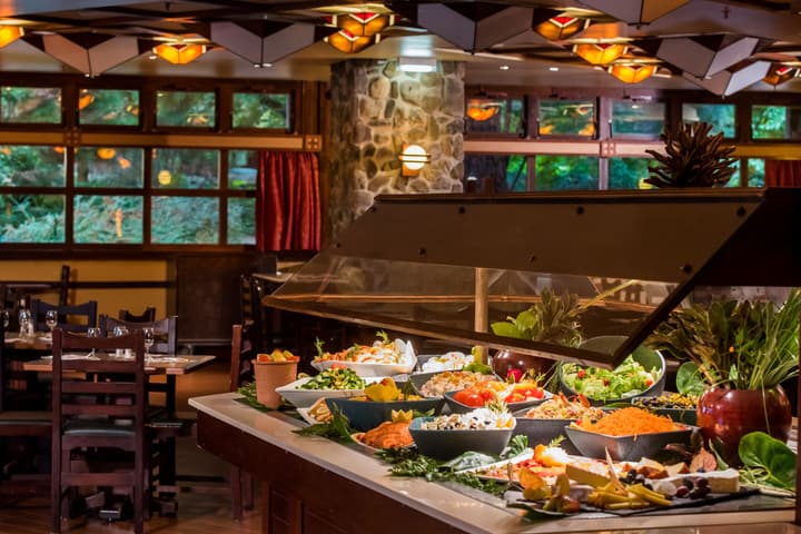 Disney Sequoia Lodge
