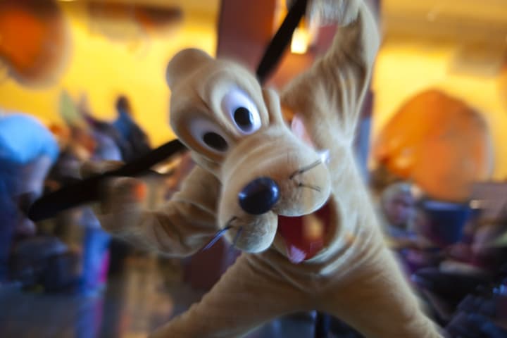 Disney Newport Bay Club