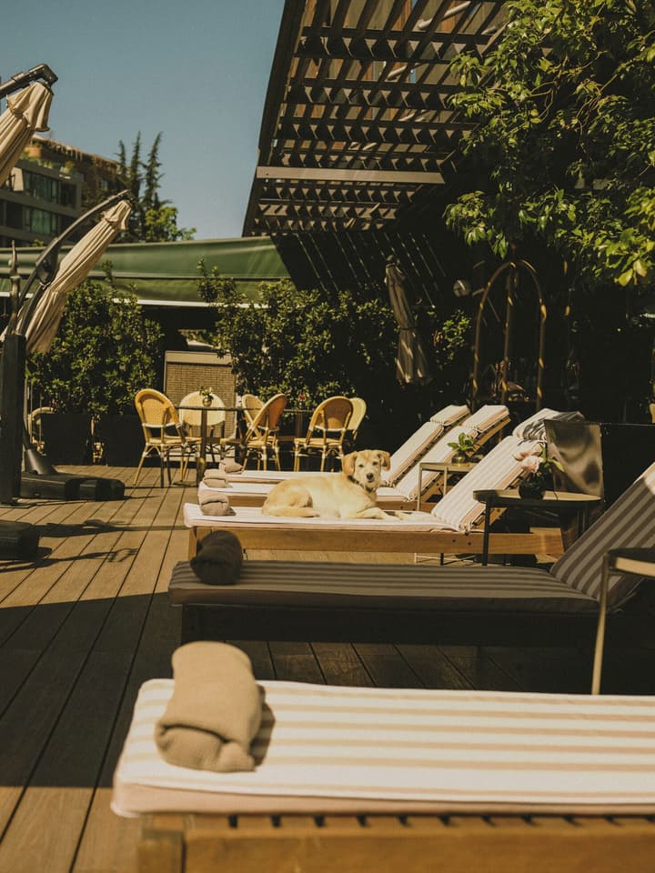 Hotel Bidasoa
