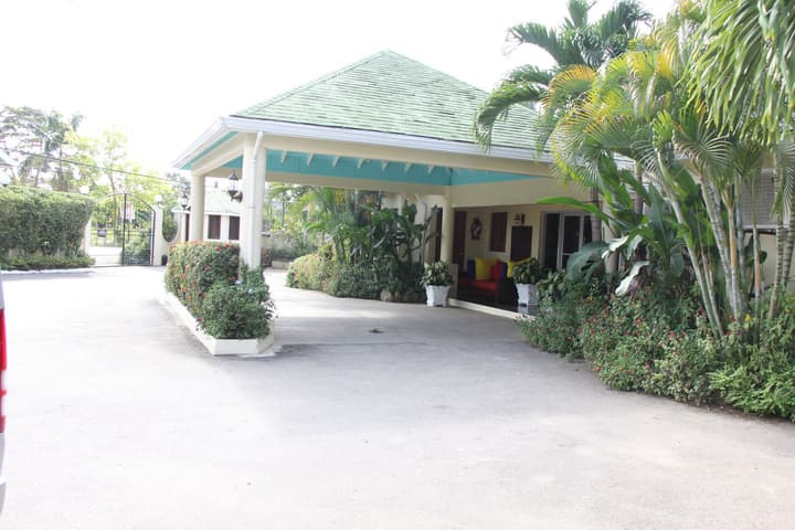 Negril Palms