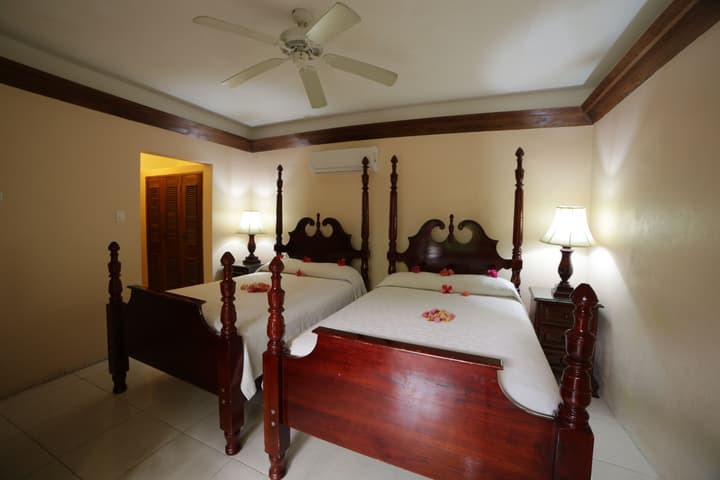 Negril Palms