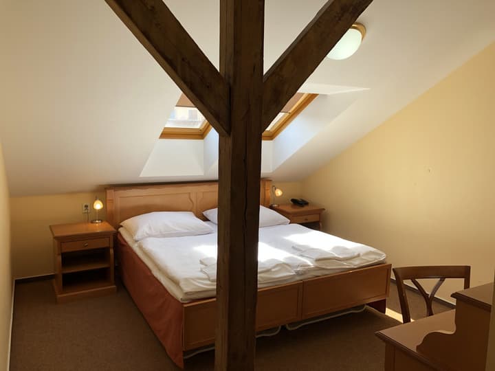Pension Brezina Prague