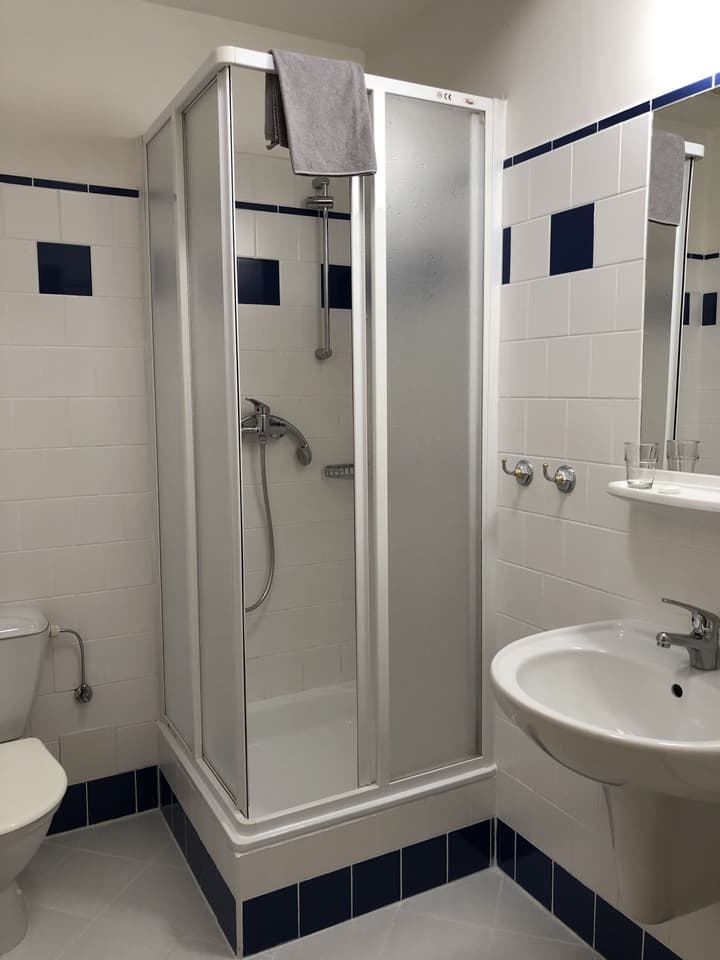 Pension Brezina Prague