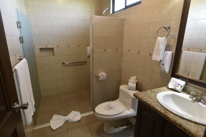 Hotel Los Lagos Spa & Resort
