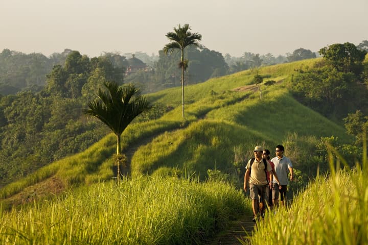 COMO Uma Ubud