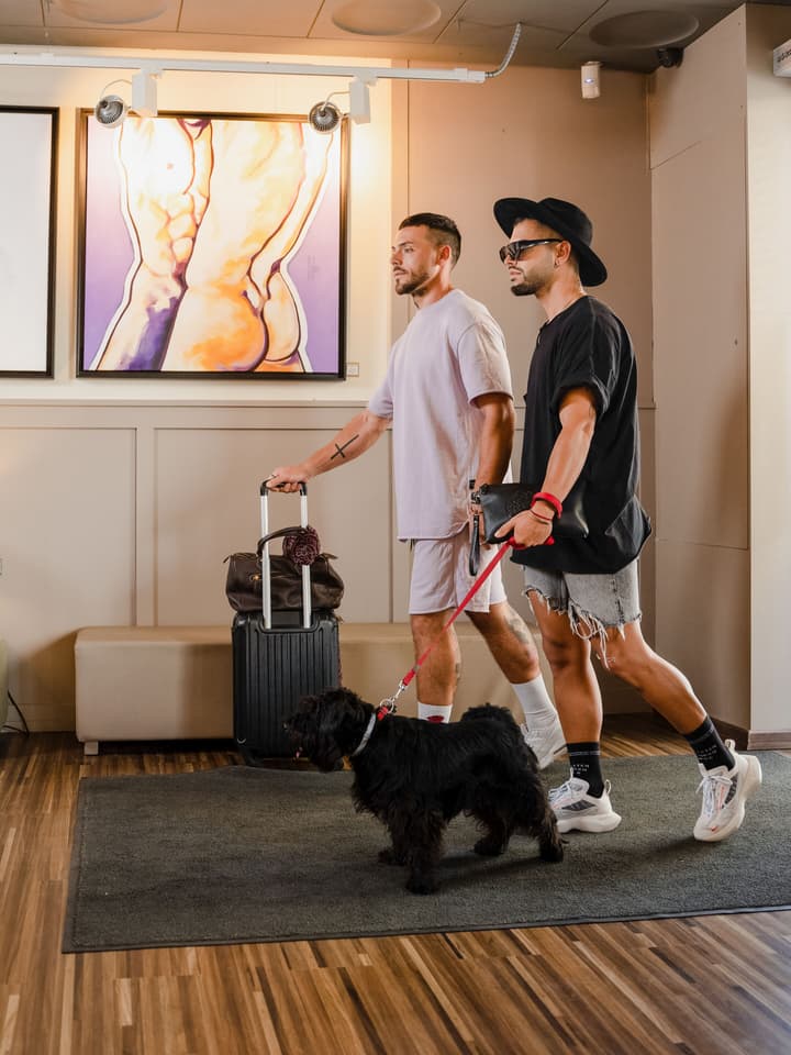 The Purple Hotel by Ibiza Feeling - Adults only