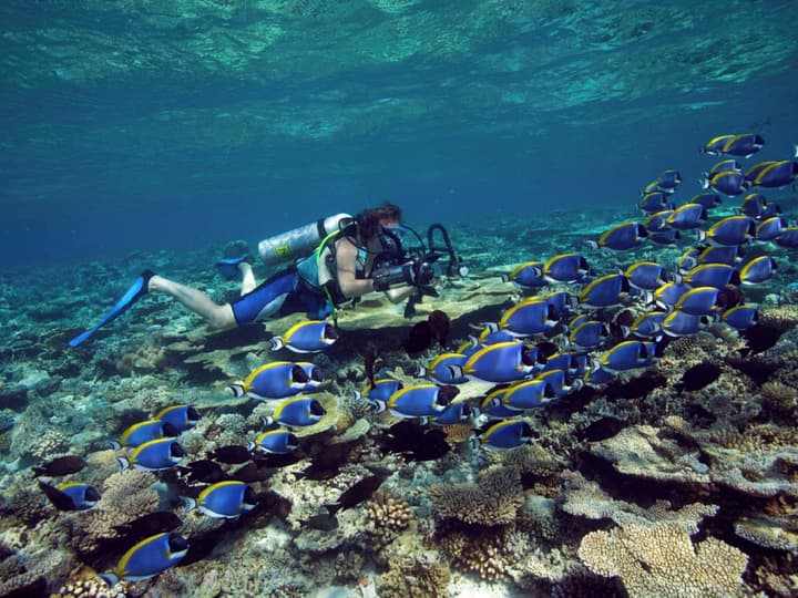 Dhawa Ihuru, part of Banyan Group – All inclusive