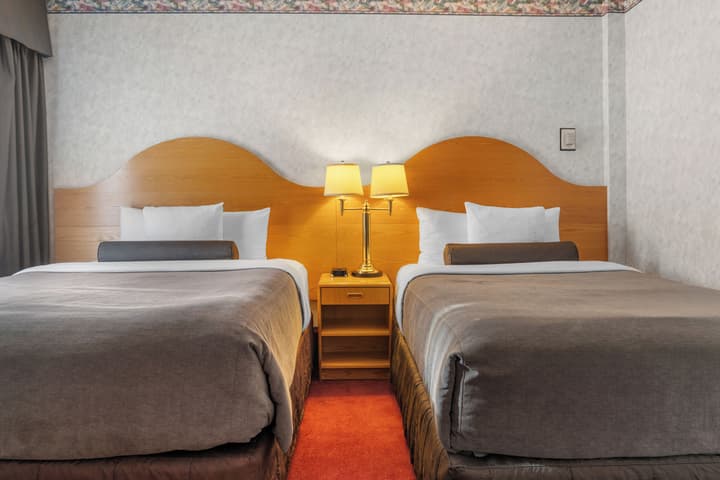 Bow View Lodge