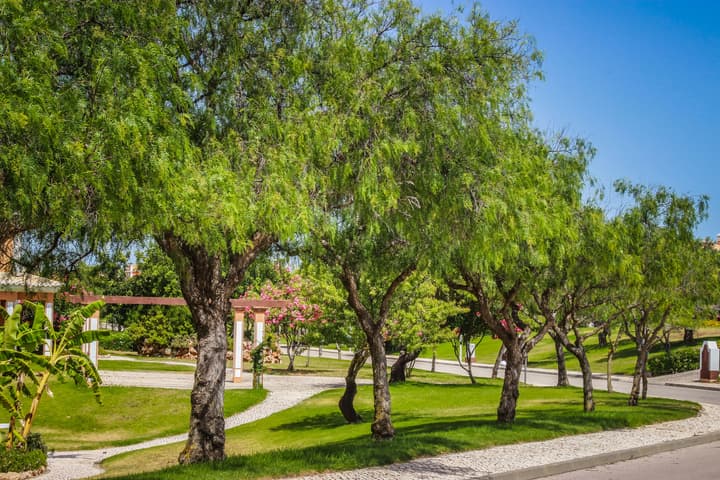 Colina da Lapa & Villas