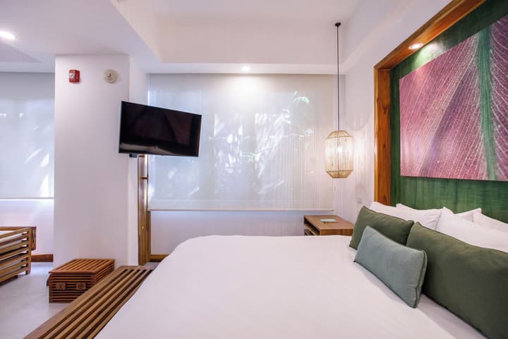 Arenas Del Mar Beachfront & Rainforest Member of the Cayuga Collection