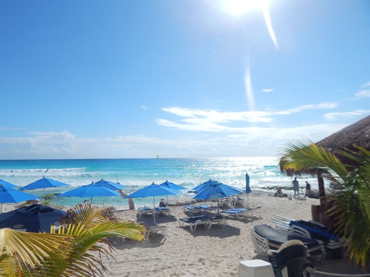 Salvia Cancun Aparts