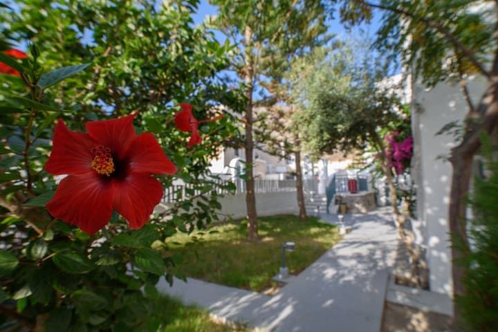 Iris Boutique Hotel