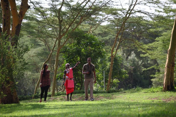 Sarova Lion Hill Game Lodge