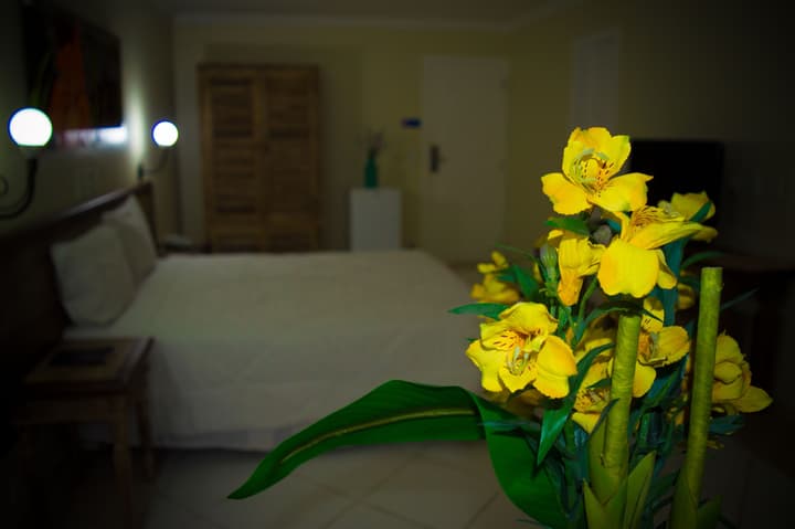 Don Quijote Hotel
