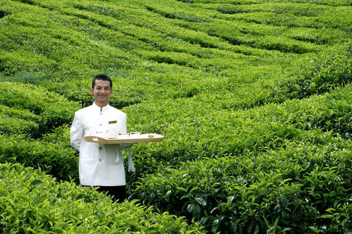 Cameron Highlands Resort