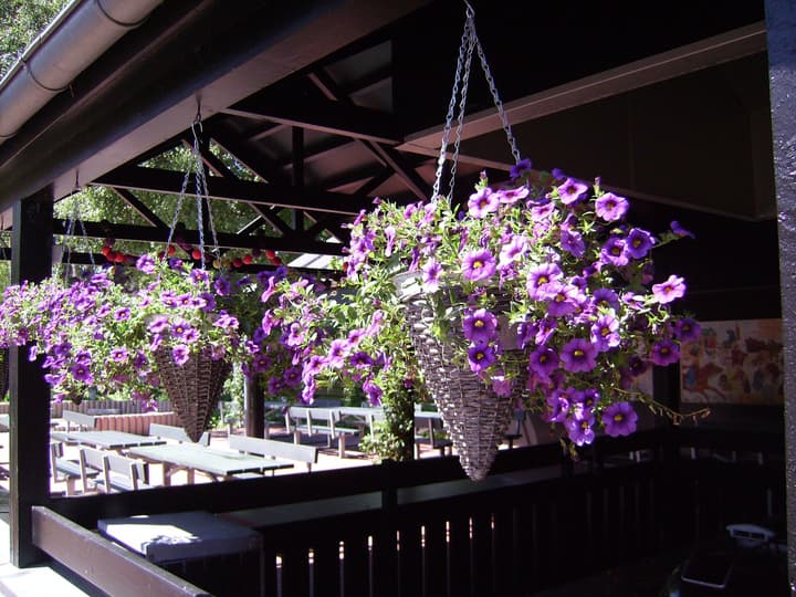 Ribe Byferie Resort