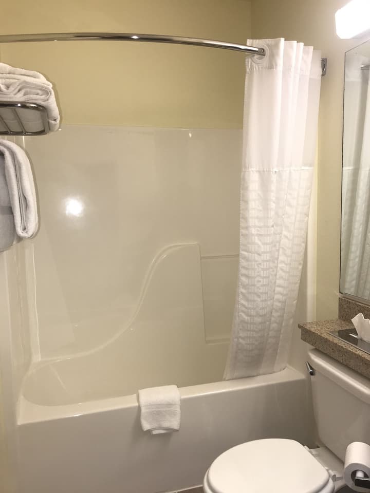 Microtel Inn & Suites by Wyndham Indianapolis Airport