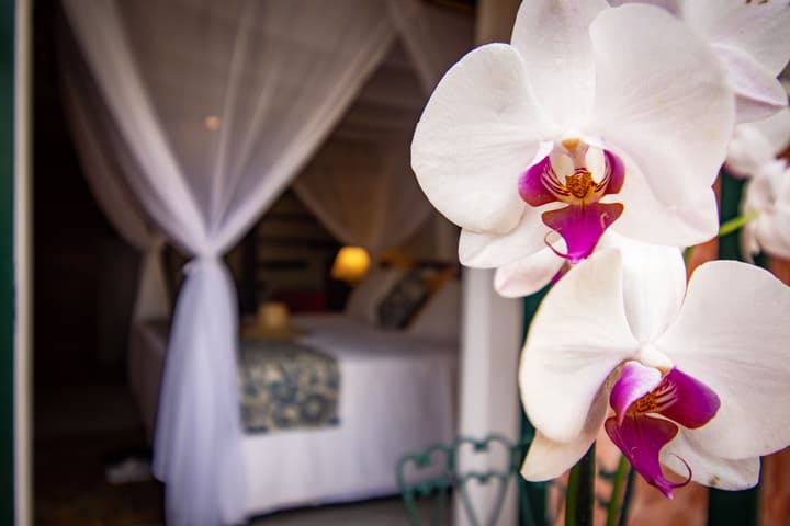 Pedra da Laguna Boutique Hotel & SPA