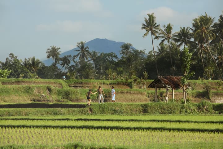 FuramaXclusive Resort & Villas, Ubud