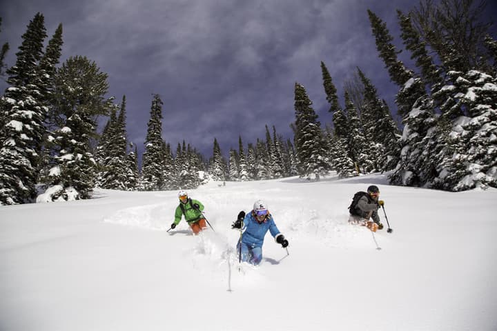 Hotel Terra Jackson Hole - A Noble House Resort