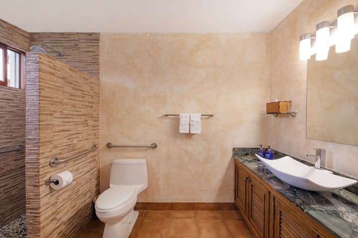 Buena Vista Chic Hotel