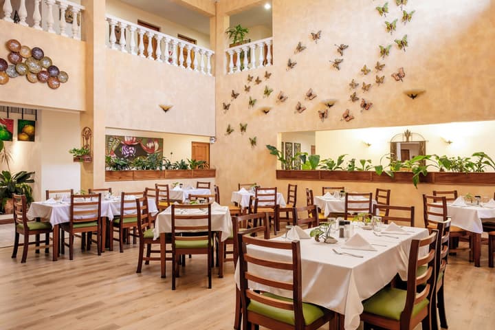 Buena Vista Chic Hotel