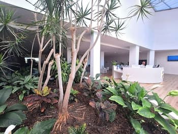 BLUESEA Costa Jardín Spa