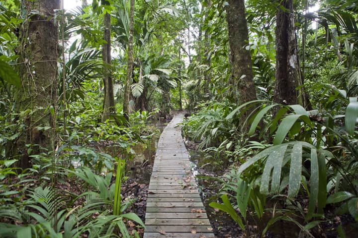 Tortuga Lodge