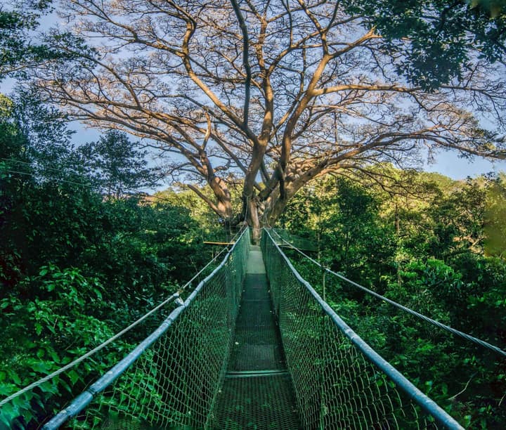 Buena Vista del Rincon Eco Adventure Park, Hotel & Spa