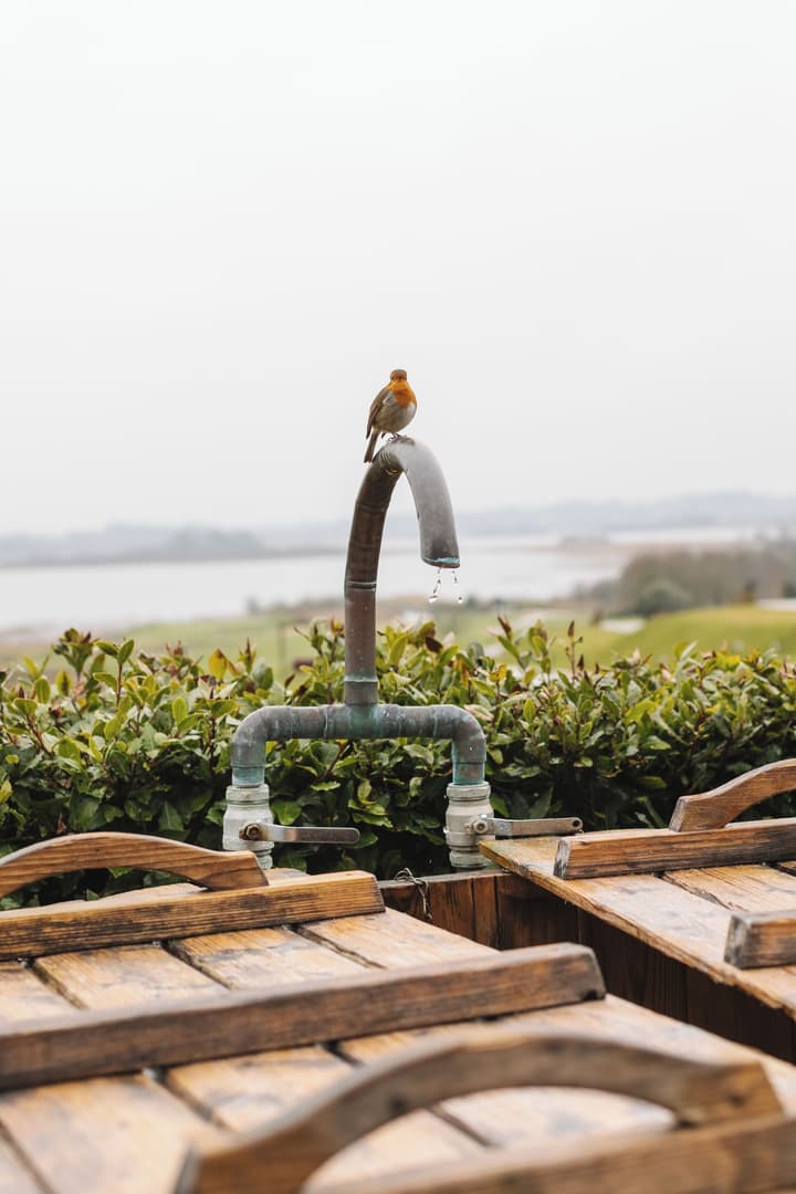 Glasson LakeHouse