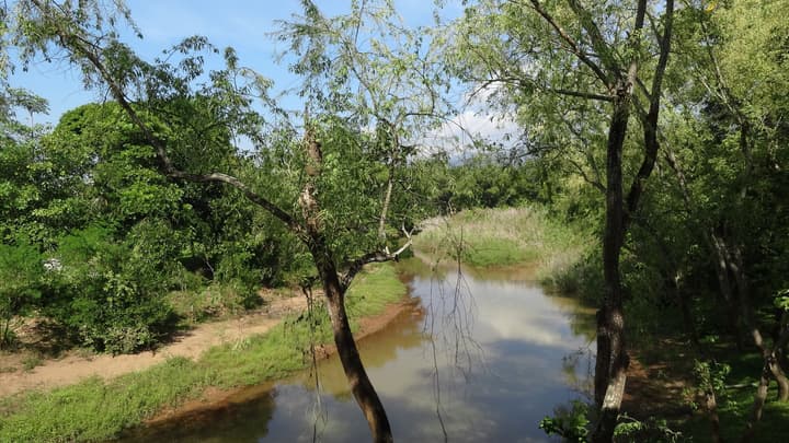 Riverside Homestay