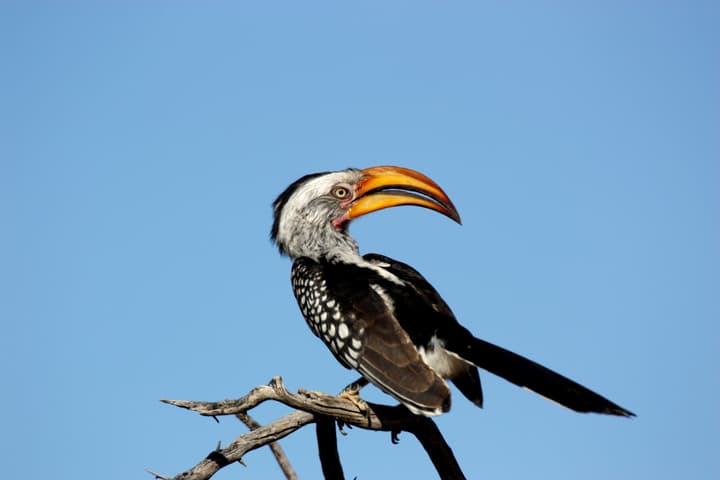 Waterberg Wilderness