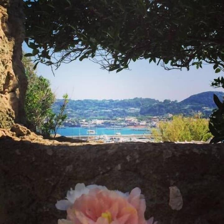 Harbour View