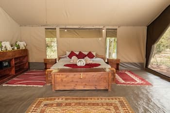 HAMMERKOP MIGRATION CAMP