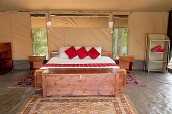 HAMMERKOP MIGRATION CAMP