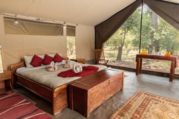 HAMMERKOP MIGRATION CAMP