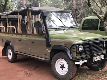 HAMMERKOP MIGRATION CAMP