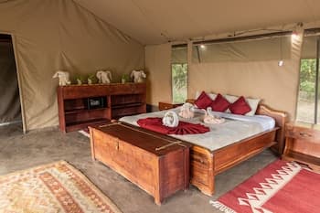 HAMMERKOP MIGRATION CAMP