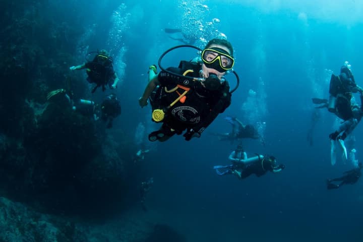 Carabao Diving Koh Tao