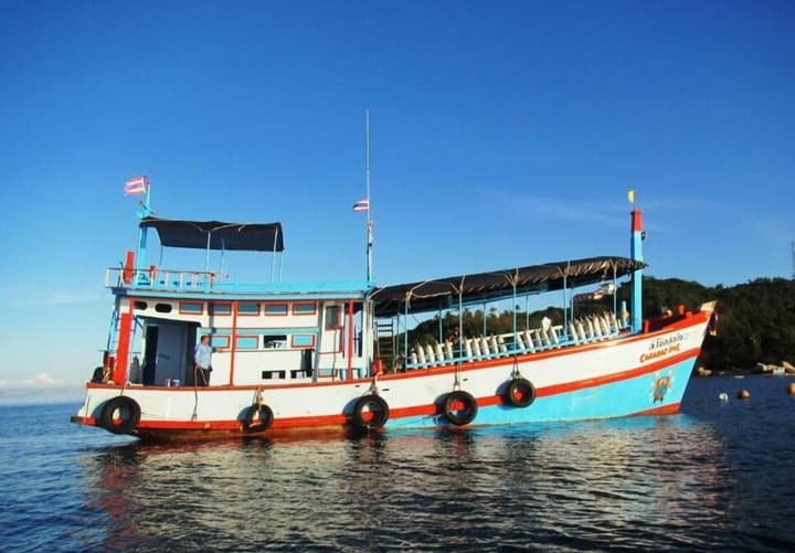 Carabao Diving Koh Tao