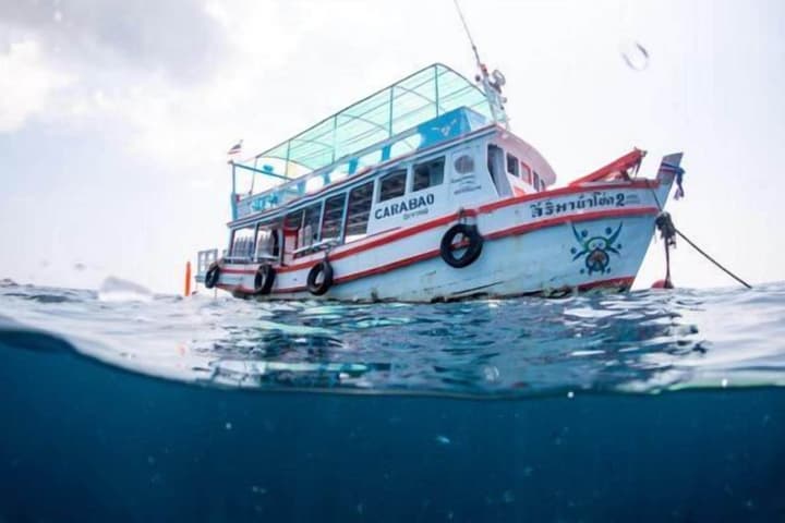Carabao Diving Koh Tao